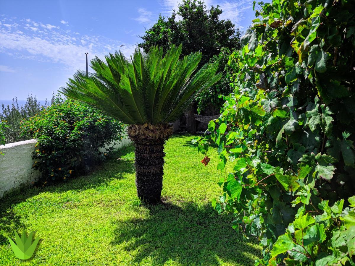Villa Delle Agavi วิเอตริ ภายนอก รูปภาพ
