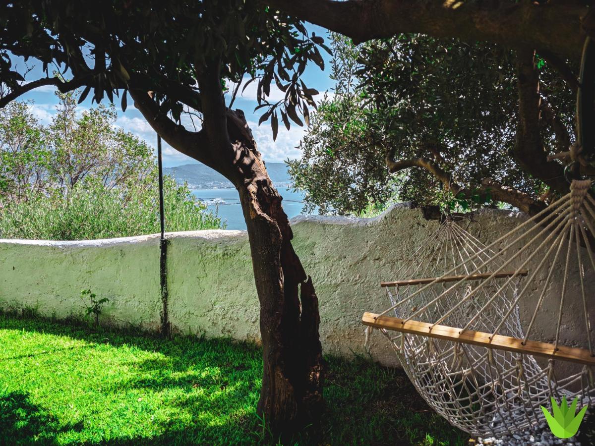 Villa Delle Agavi วิเอตริ ภายนอก รูปภาพ