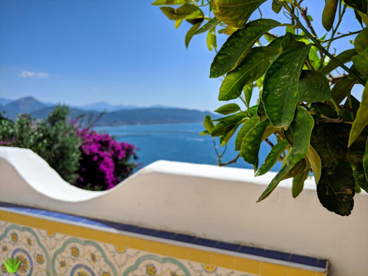 Villa Delle Agavi วิเอตริ ภายนอก รูปภาพ