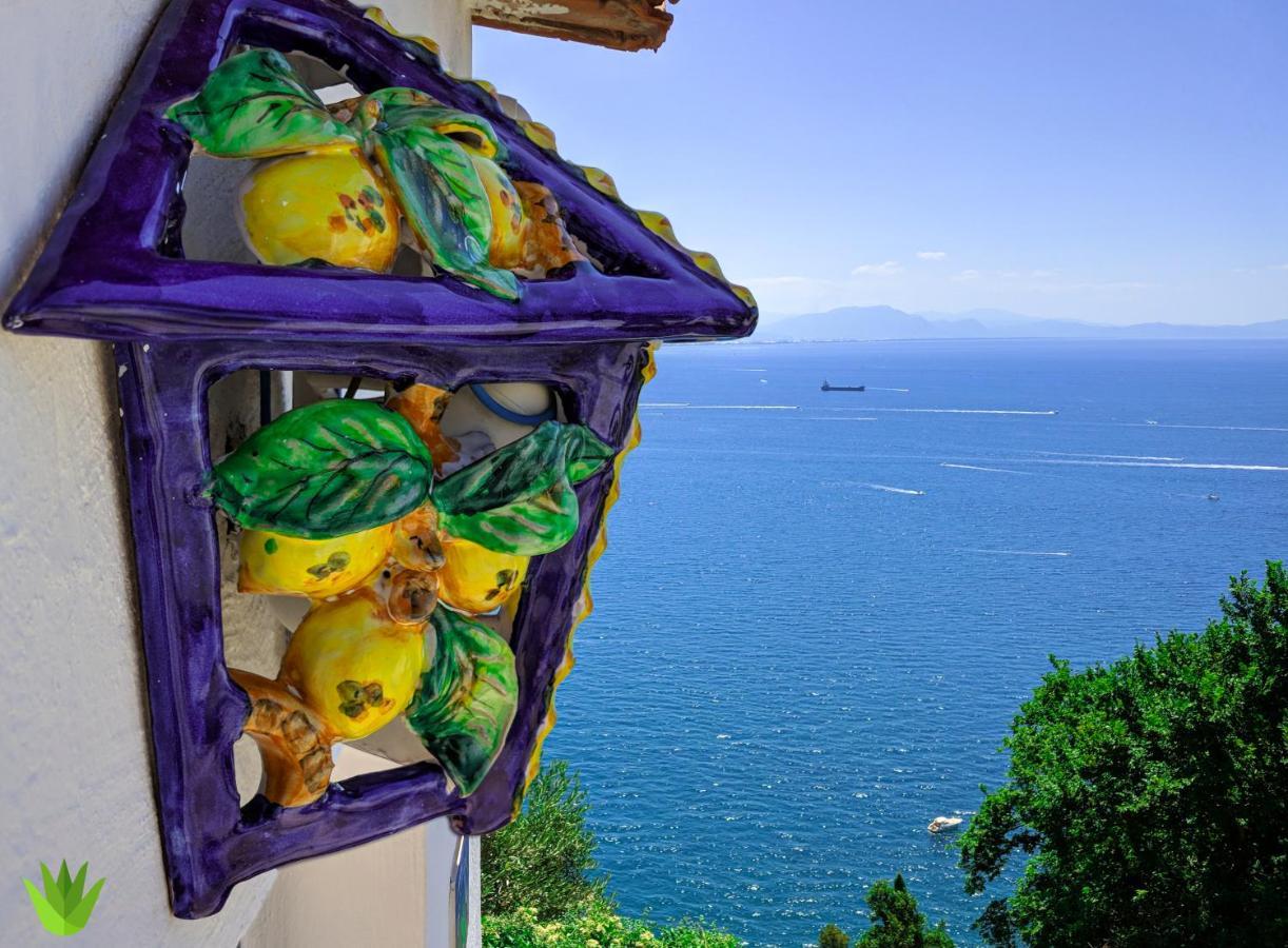 Villa Delle Agavi วิเอตริ ภายนอก รูปภาพ