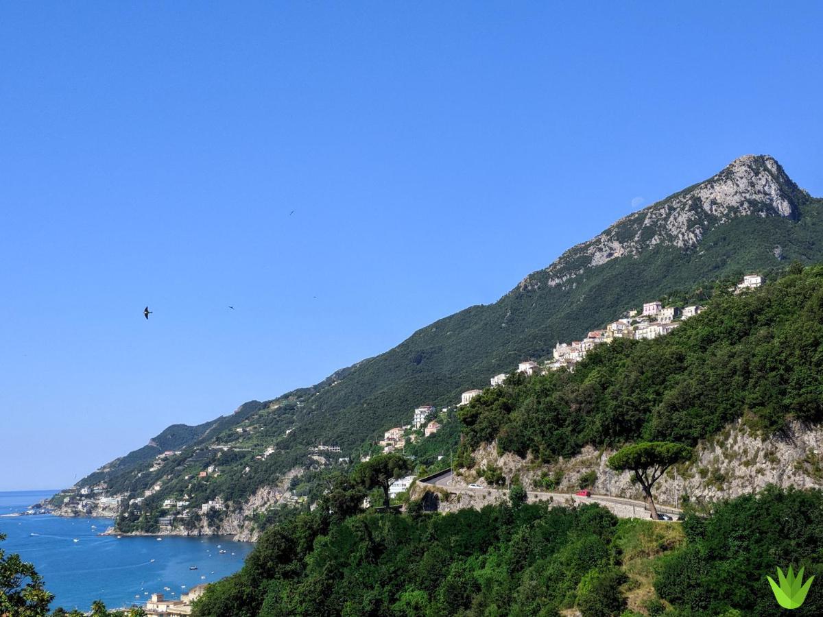 Villa Delle Agavi วิเอตริ ภายนอก รูปภาพ