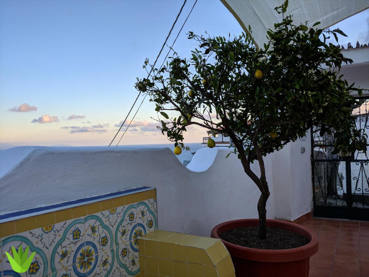Villa Delle Agavi วิเอตริ ภายนอก รูปภาพ